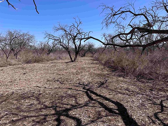 5th image of Abst 318 Wj Pearce