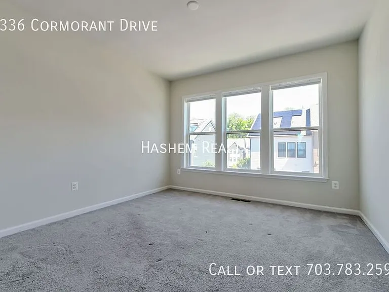 3336 Cormorant Dr — Photo 6
