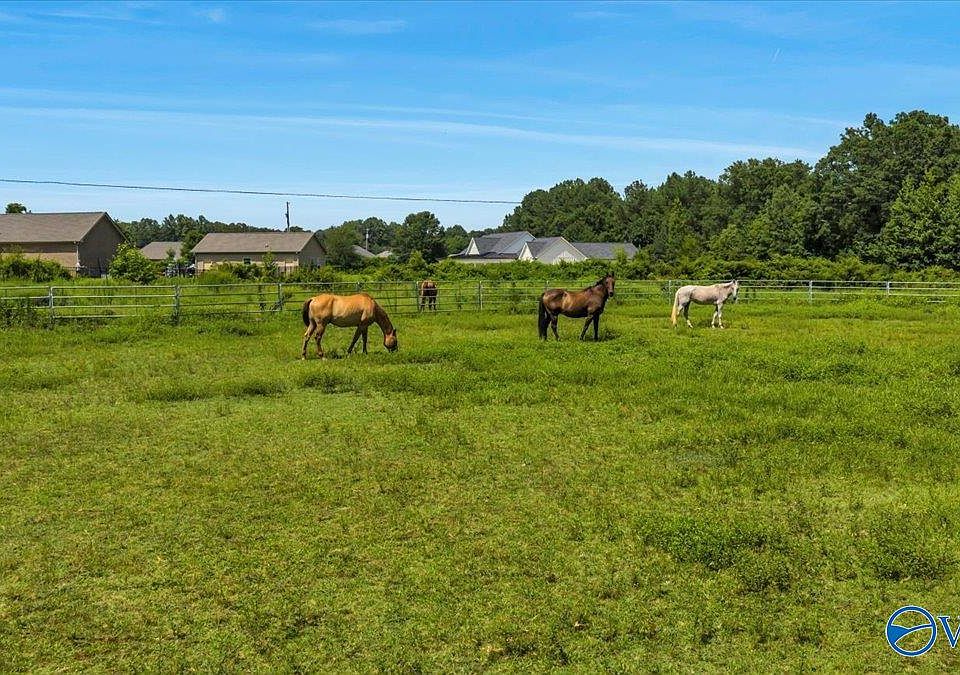 19000 Meadows Rd, Athens, AL 35613 | MLS #21895479 | Zillow