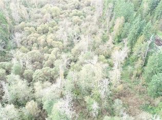 113 Avenue E, Graham, WA 98338