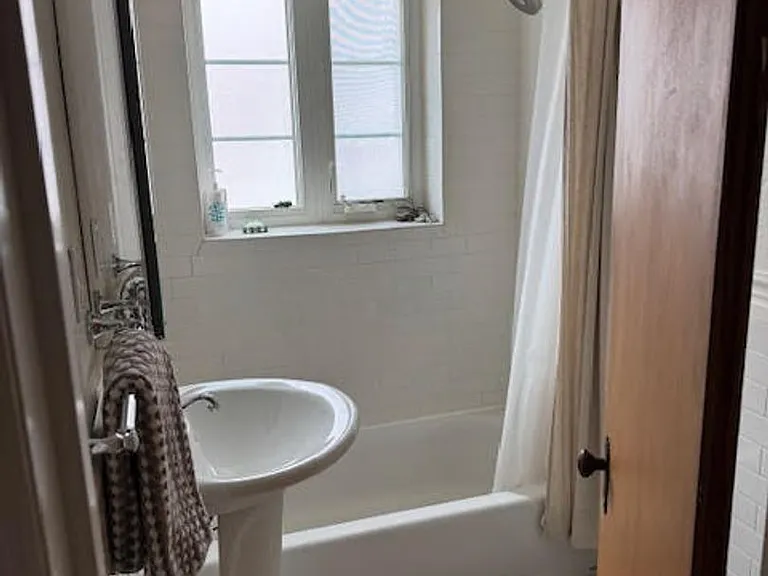 1483 Ash St #8 — Photo 15