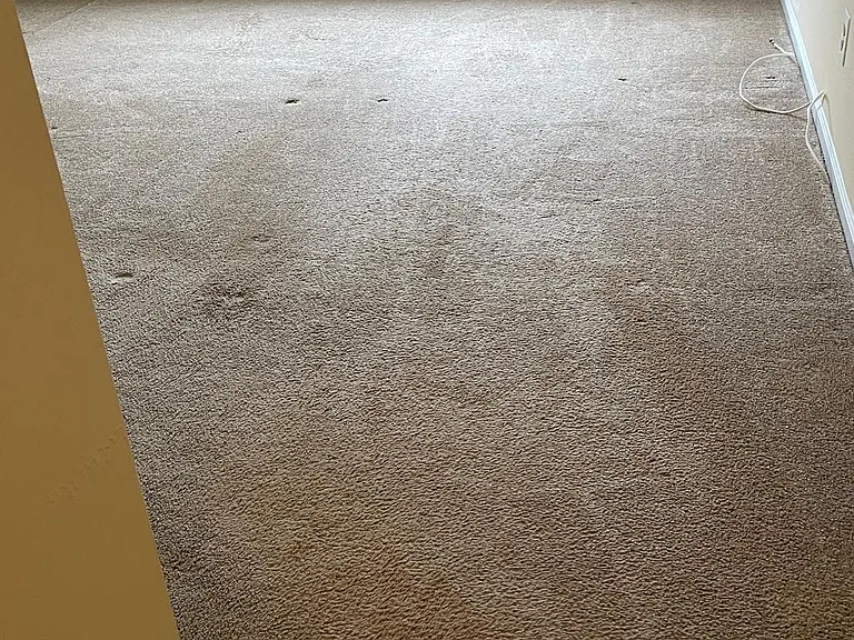 14 Cedar Ct — Photo 10