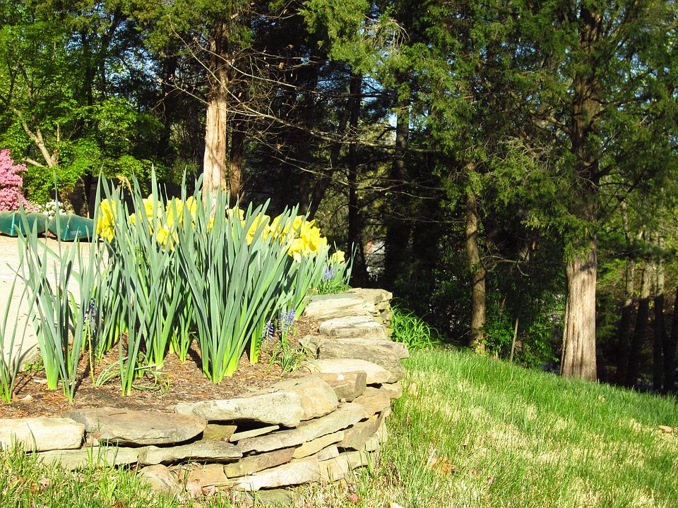 6110 Beech Tree Dr, Alexandria, VA 22310 Zillow