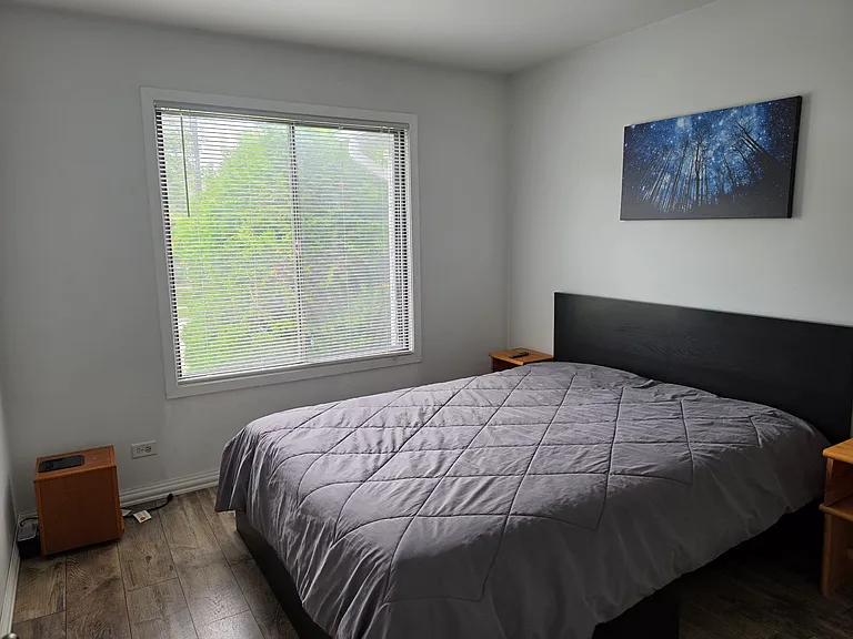 466 Tyler Ct — Photo 14