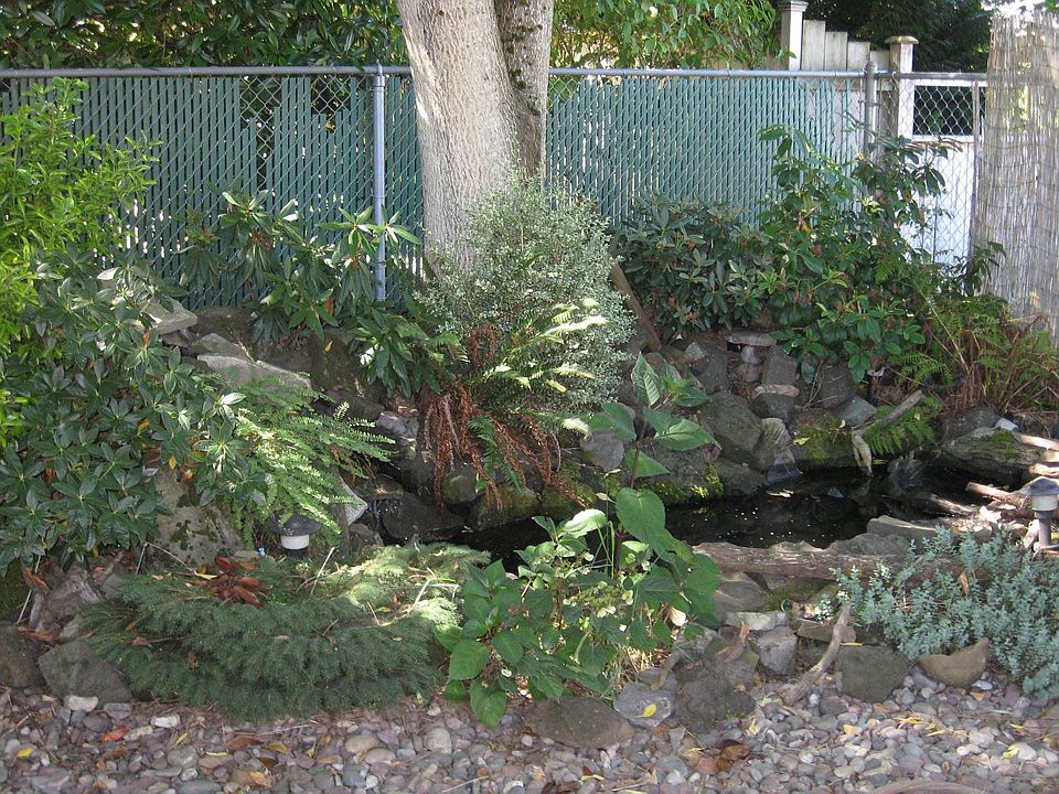water feature
