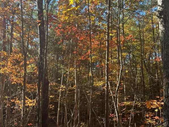 109 Cherokee Path, Tellico Plains, TN 37385