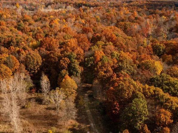 0 Tyler Woods Trl, White Lake, MI 48383