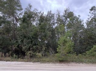 105 Pleasant Dr, Crescent City, FL 32112