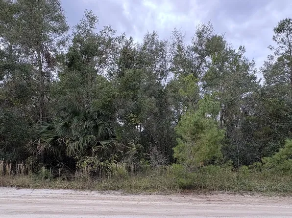 105 PLEASANT Drive, Crescent City, FL 32112