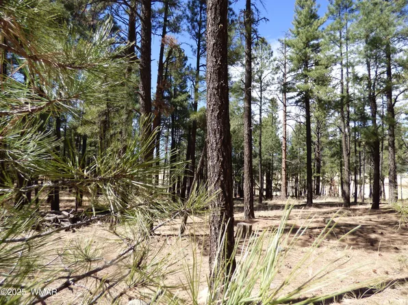 8B County Road 2267, Alpine, AZ 85920