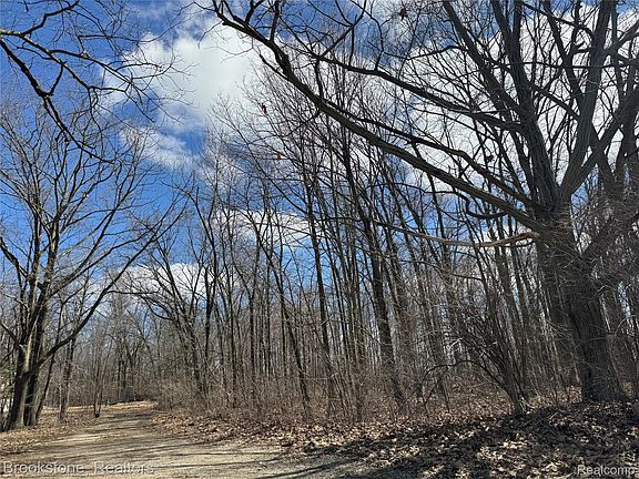 3rd image of 5193 Vassar Rd