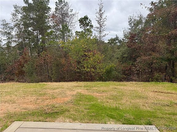 3rd image of 212 Cobra Ln Lot 38