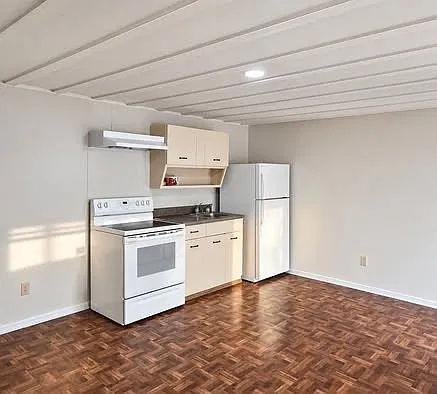 1 bed, 305 sqft, $600 — Photo 3