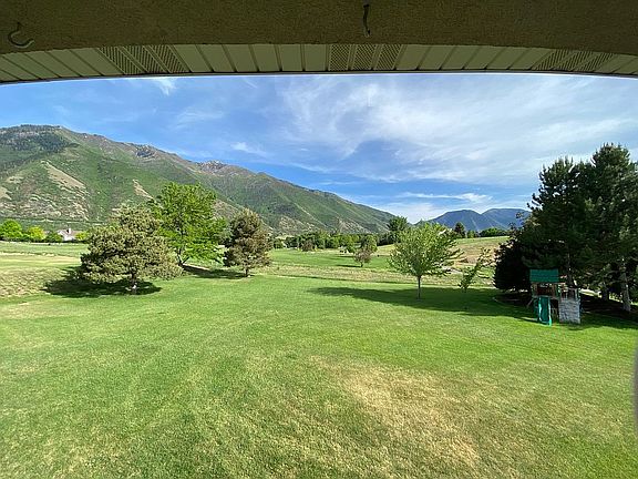 View from the back deck 