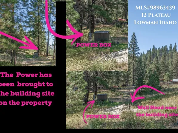 12 Plateau Rd, Lowman, ID 83637