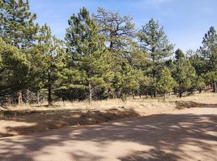 104 Keepsake Loop, Westcliffe, CO 81252