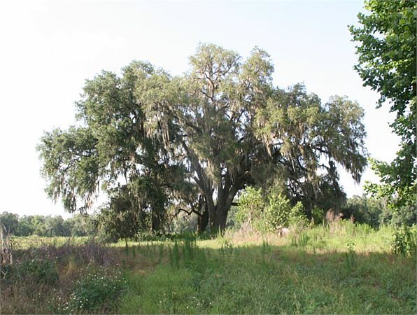 1st image of 27025 N State Road 121