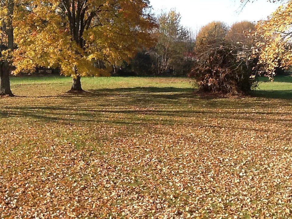 Nice 3 Bedroom Rental in Mount Airy! — Photo 4