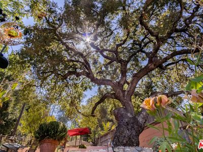 1026 Oak Grove Dr, Los Angeles, CA, 90041