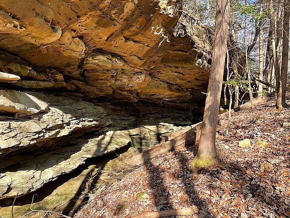 5th image of 485 Laurel Lake Resort Rd