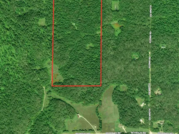 4439 Kuzmik Rd, Elmira, MI 49730