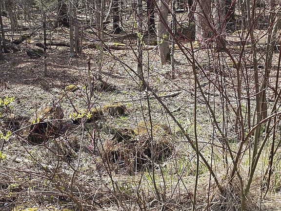 5th image of 360 Jacobs Ladder Rd