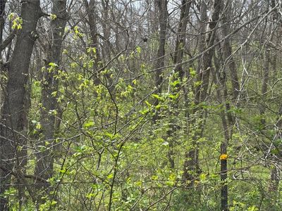 NW 900th Rd, Warrensburg, MO, 64093