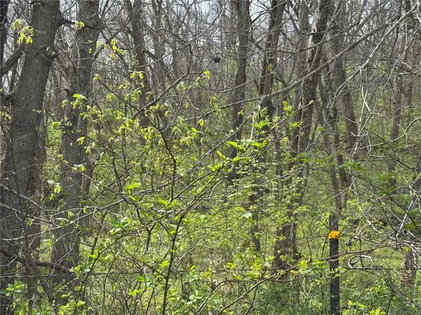 NW 900th Rd, Warrensburg, MO 64093