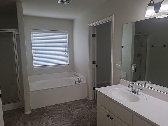Master bathroom, separate tub & shower, 2 sinks