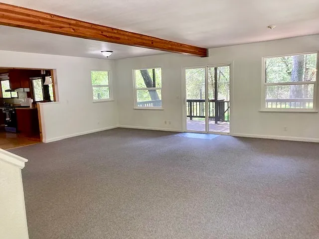 17346 Excelsior Ditch Camp Rd — Photo 5