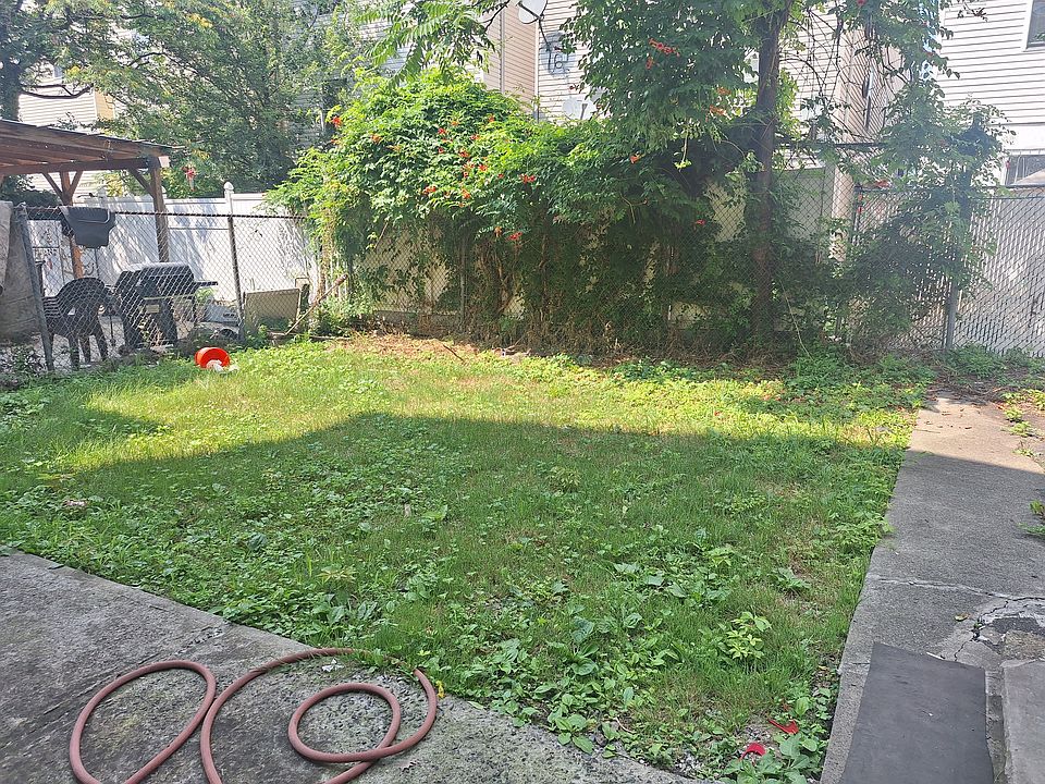 Back yard