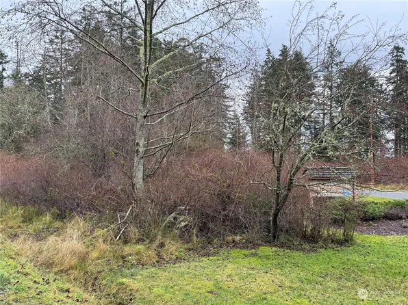 0 Arbor Drive, Coupeville, WA 98239
