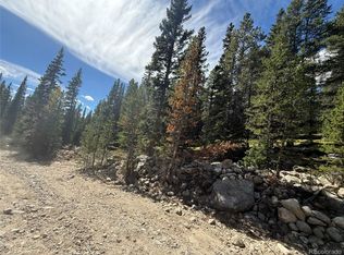 151 Lake Rd, Idaho Springs, CO 80452