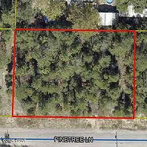 1st image of See Plot N Pinetree Ln