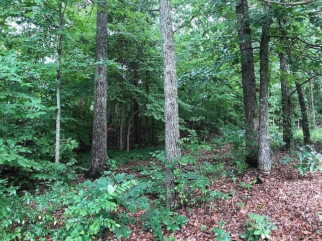 2nd image of 117 Oligi Ln Lot 4