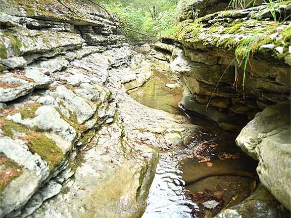 4th image of 1743 Hambrich Hollow Rd