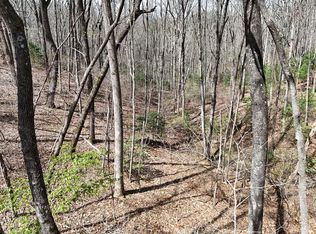 L129/124 Laurel Xing, Blue Ridge, GA 30513