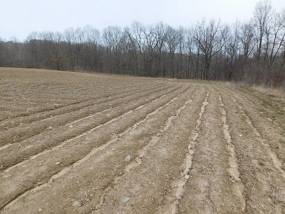 5th image of Cox Rd