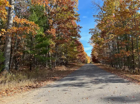 1385 Shawnee Dr, Indian River, MI 49749