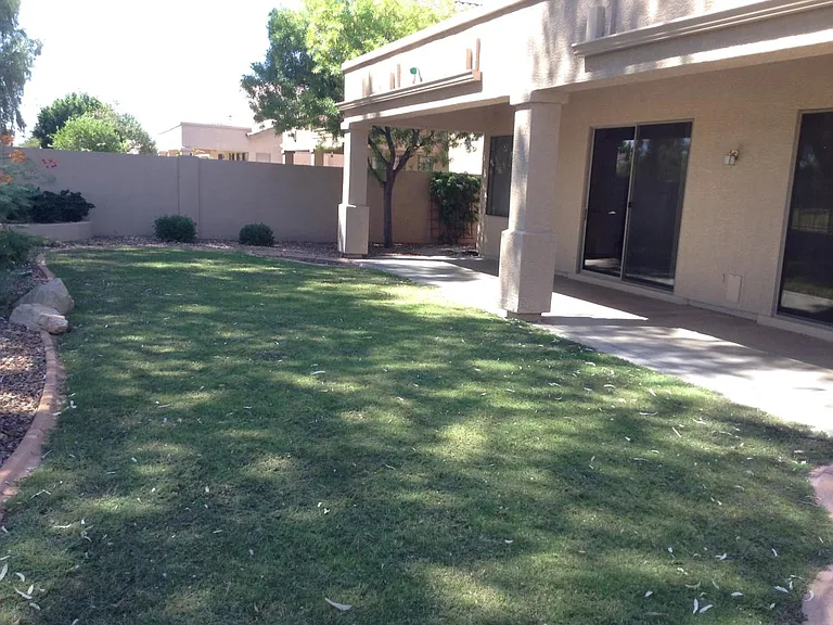 Back yard