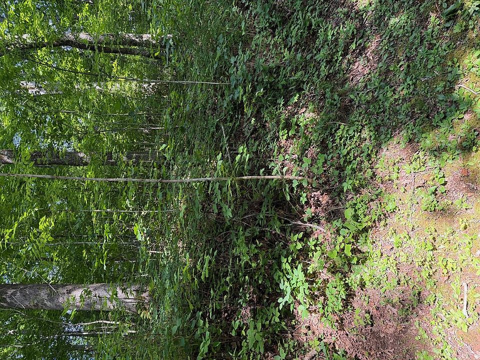 2nd image of 19 Parker Farm Rd