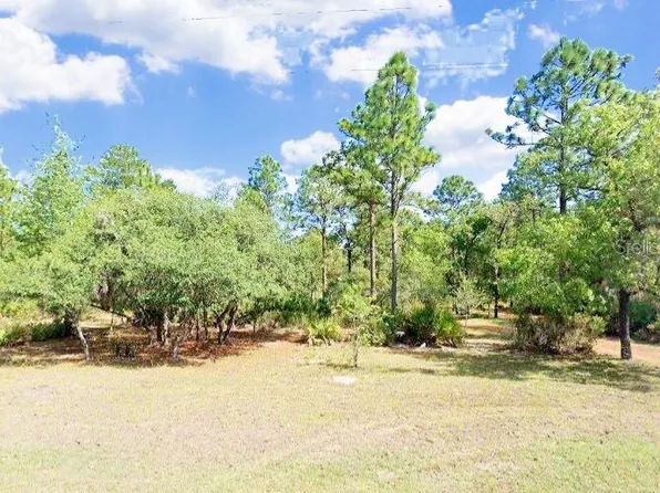 5719 W Stockholm Ln, Dunnellon, FL 34433