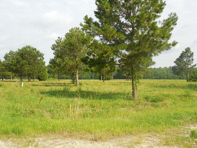 2nd image of 9 Ferrell Vance Ln
