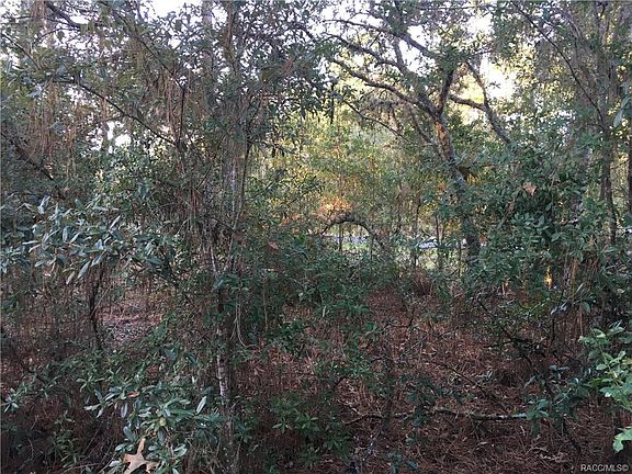3rd image of 1538 W Barlow Pl