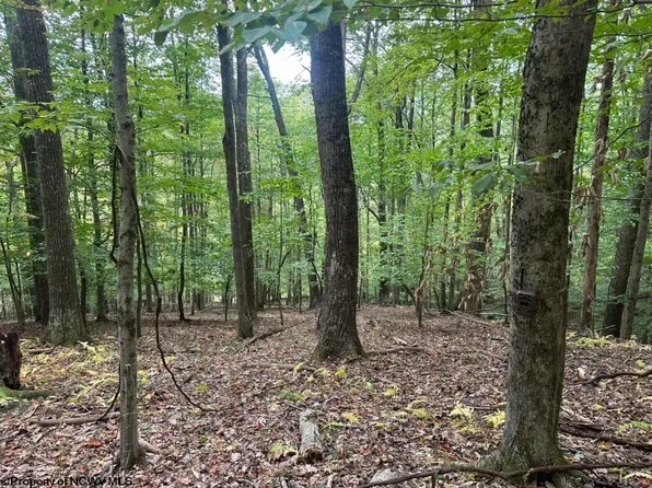 Racoon Run, Elkins, WV 26241