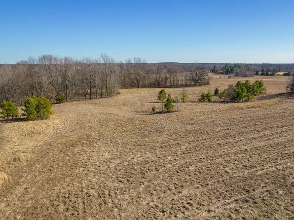 Pugh Rd, Friendship, TN 38034
