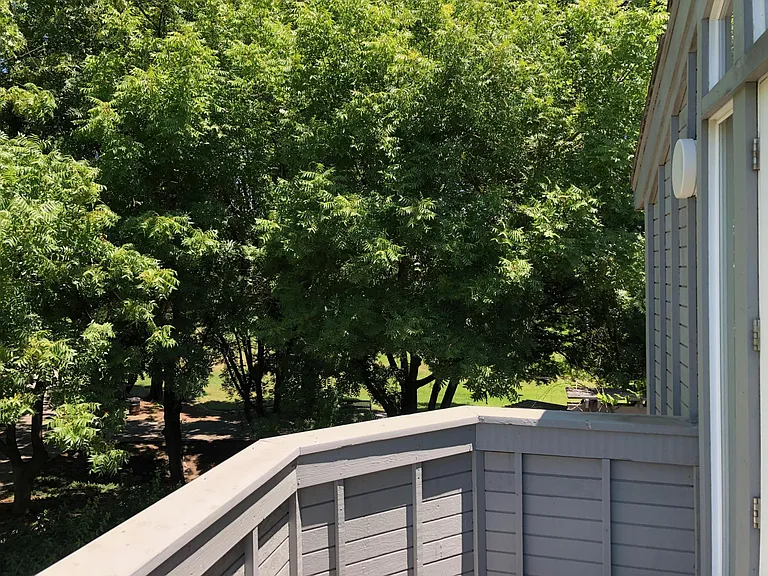 1207 Caribou Pl — Photo 6