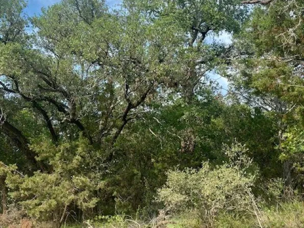 TBD Lunar Drive, Burnet, TX 78611