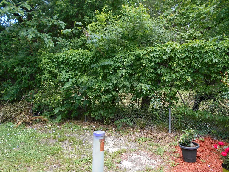 12447 W Village Dr #E — Photo 8