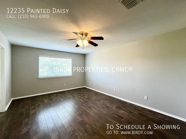 12235 Painted Daisy — Photo 24